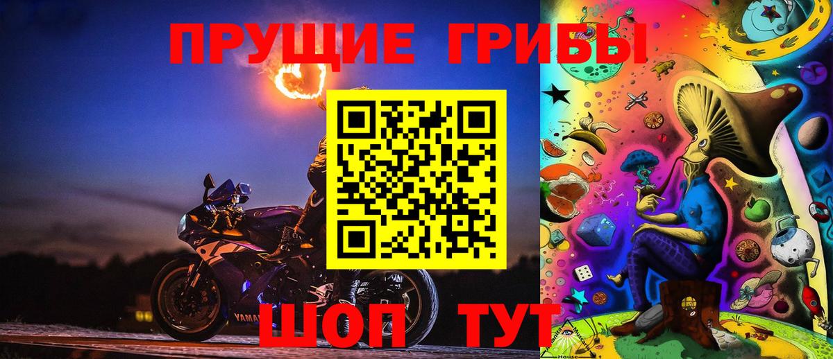 Галлюциногенные грибы Psilocybine cubensis  дарнет шоп  Котельники 