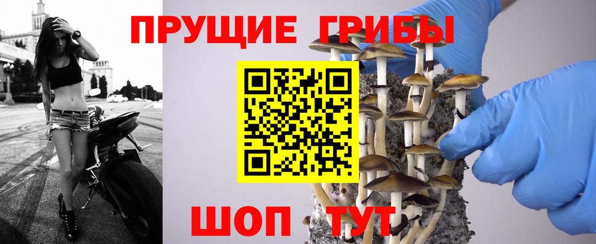 Галлюциногенные грибы Cubensis Котельники