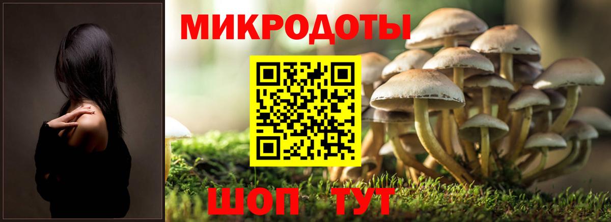 купить наркотик  Галлюциногенные грибы Psilocybe  Вход с VPN  Котельники 